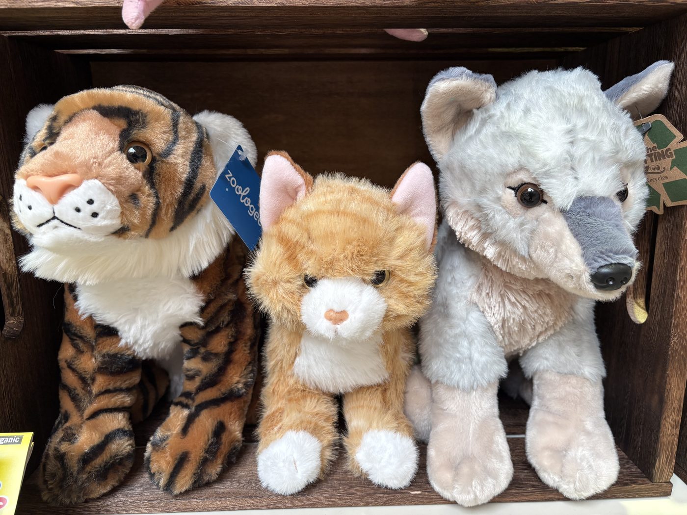 Zoologee plush tiger, cat, and wolf at Cuddle Candy Co